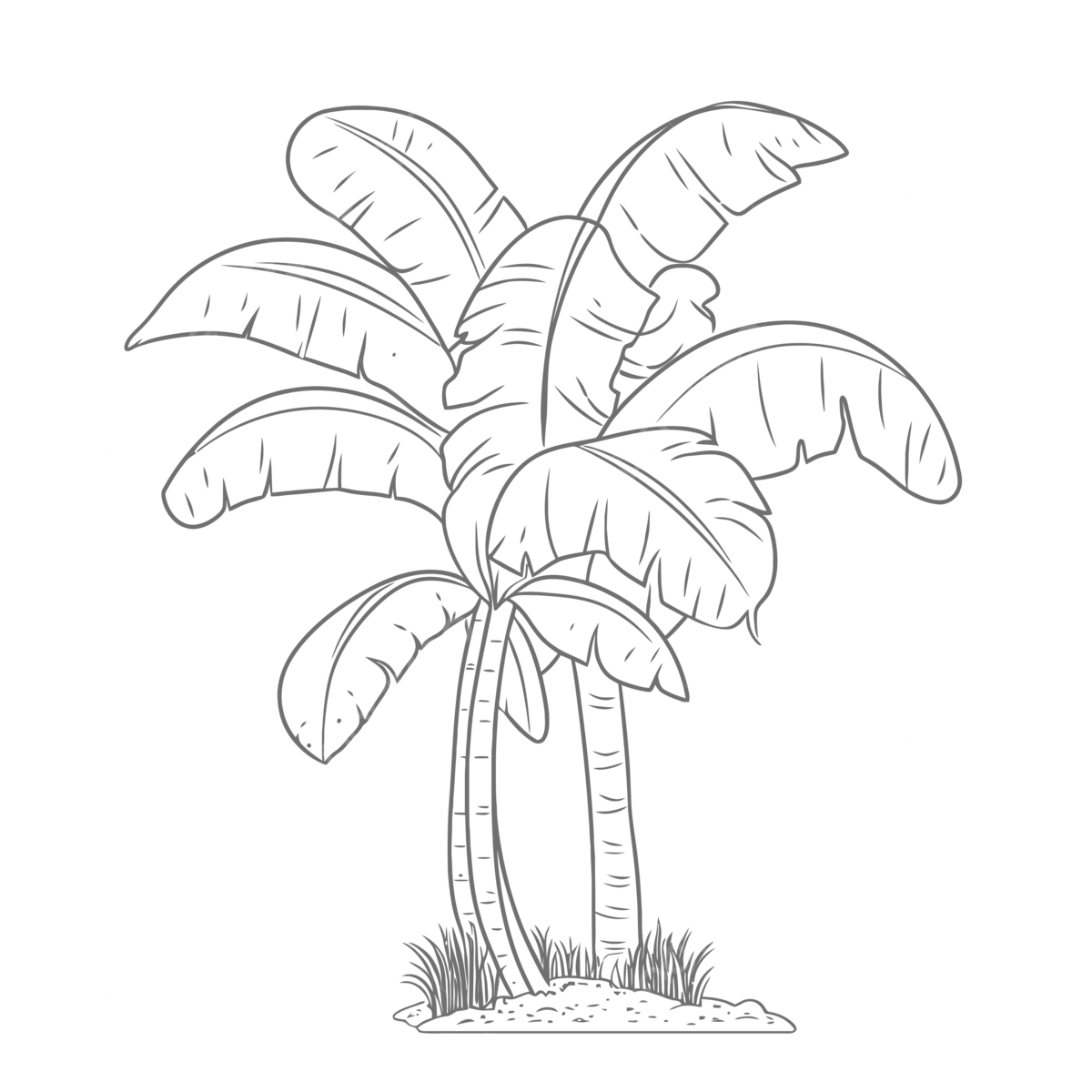 Coloring page with two palm trees on a white background outline sketch drawing vector palm tree drawing tree drawing wing drawing png and vector with transparent background for free download