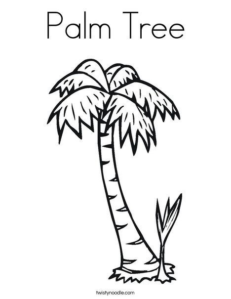 Palm tree coloring page