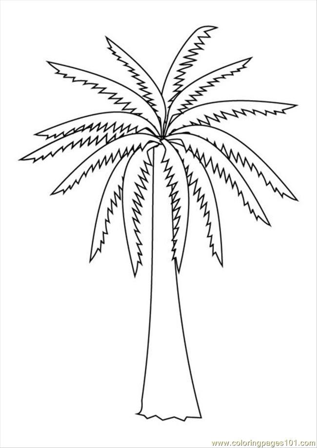 Free palm tree coloring pages to print download free palm tree coloring pages to print png images free cliparts on clipart library