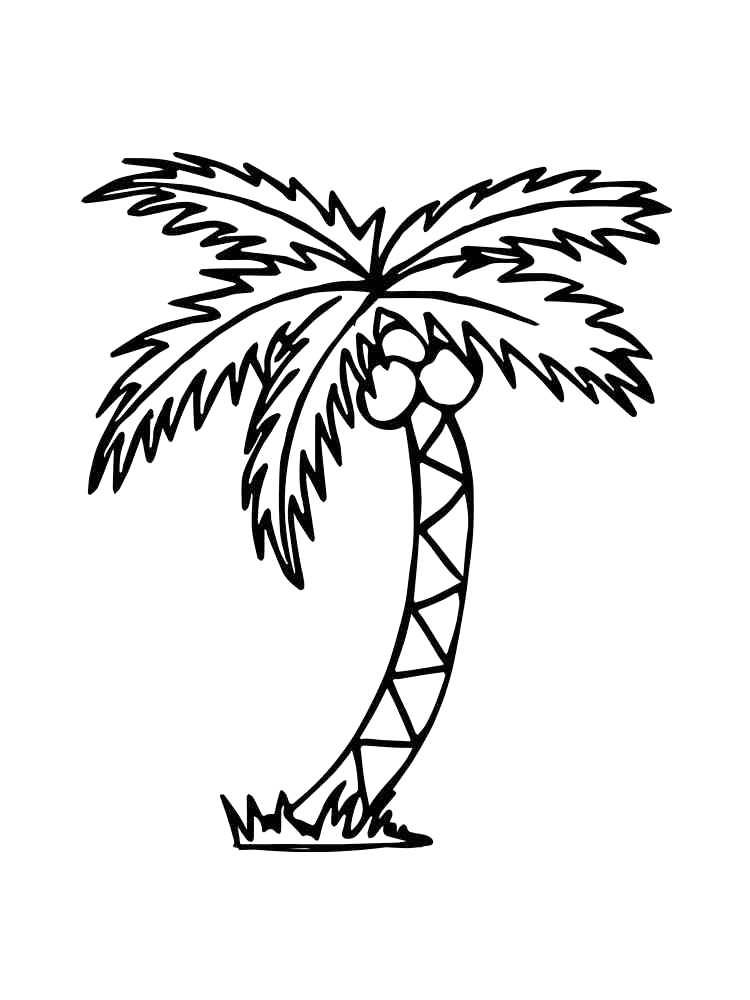 Palm tree coloring pages