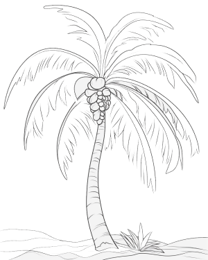 Palm tree pages relax and unwind with tropical paradise printables