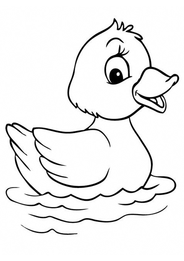 Coloring pages free printable duck coloring sheet