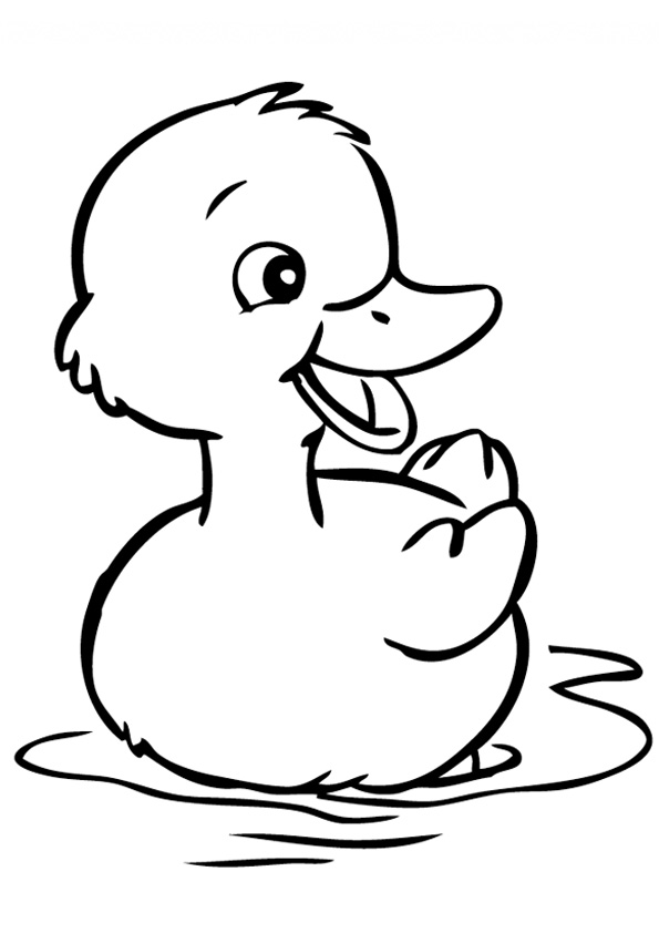 Coloring pages duck coloring sheet for kids