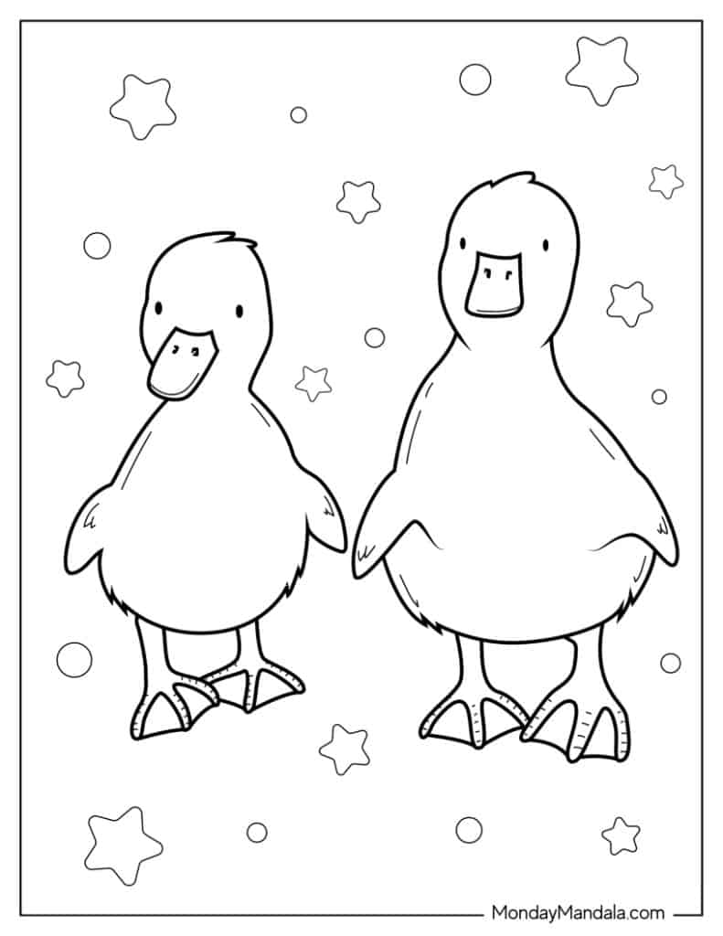 Cute duck coloring pages free pdf printables