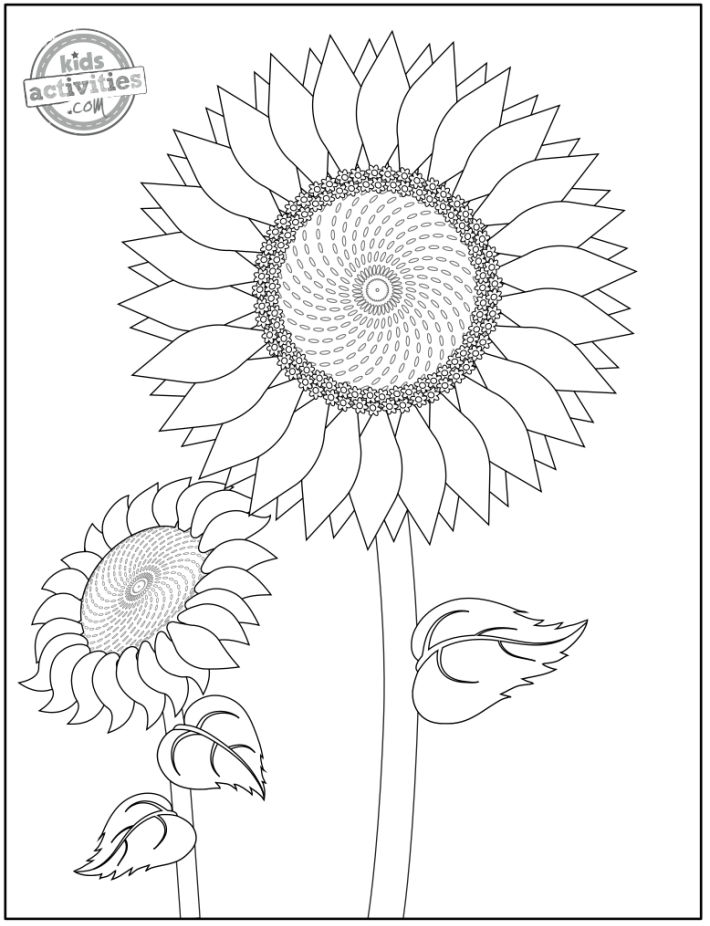 Printable flower coloring pages for kids