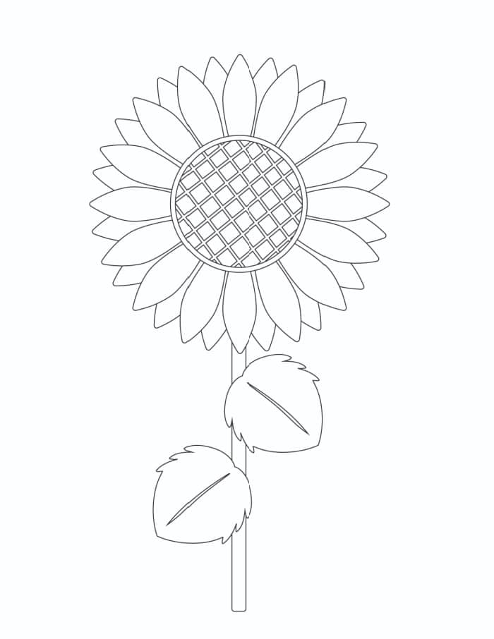 Free printable sunflower pattern templates