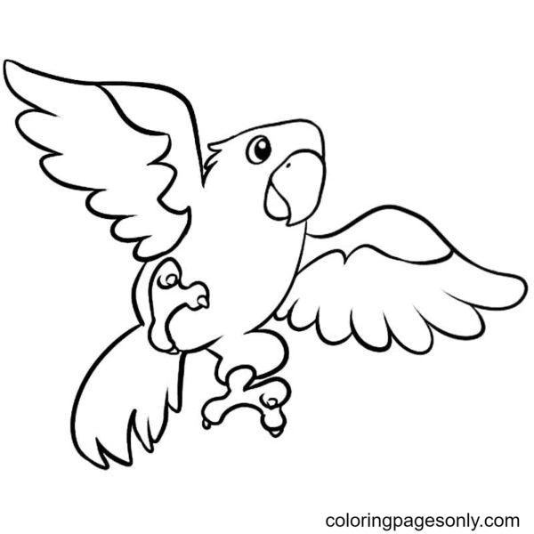 Parrot coloring pages printable for free download