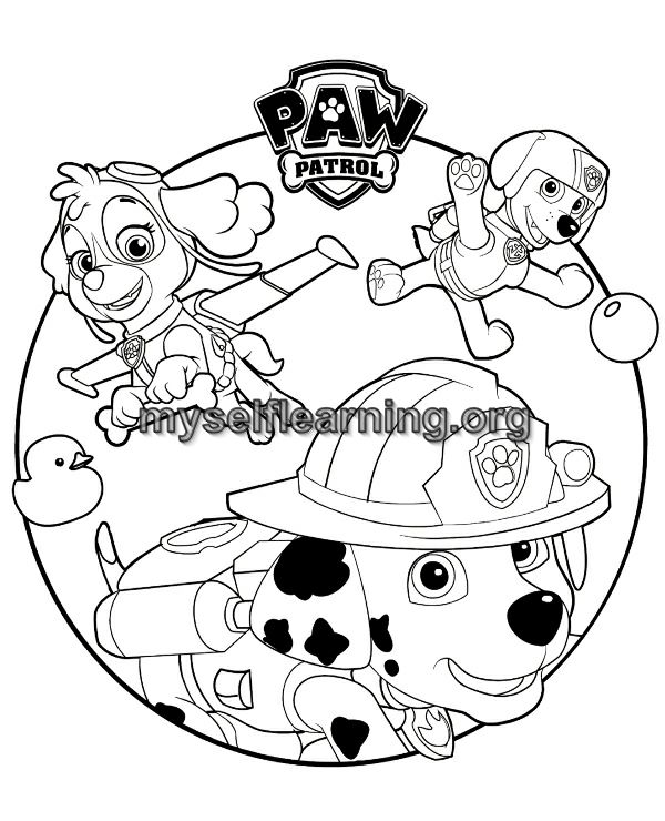 Paw patrol cartoons coloring sheet instant download