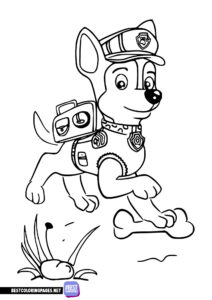 Paw patrol coloring pages