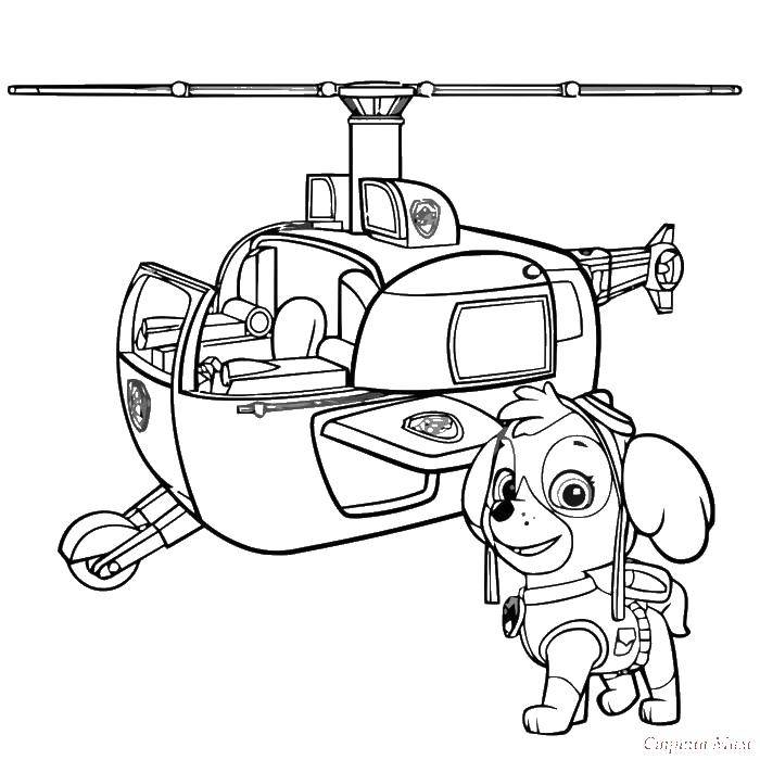 Online coloring pages coloring page helicopter skye paw patrol download print coloring page