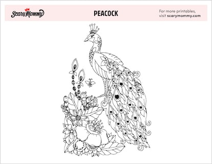 Shake your tail feathers these peacock coloring pages are wild