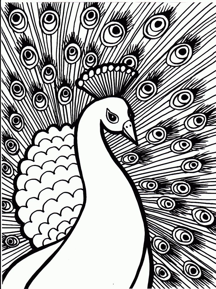 Zannidos muse color pages abstract coloring pages peacock coloring pages bird coloring pages