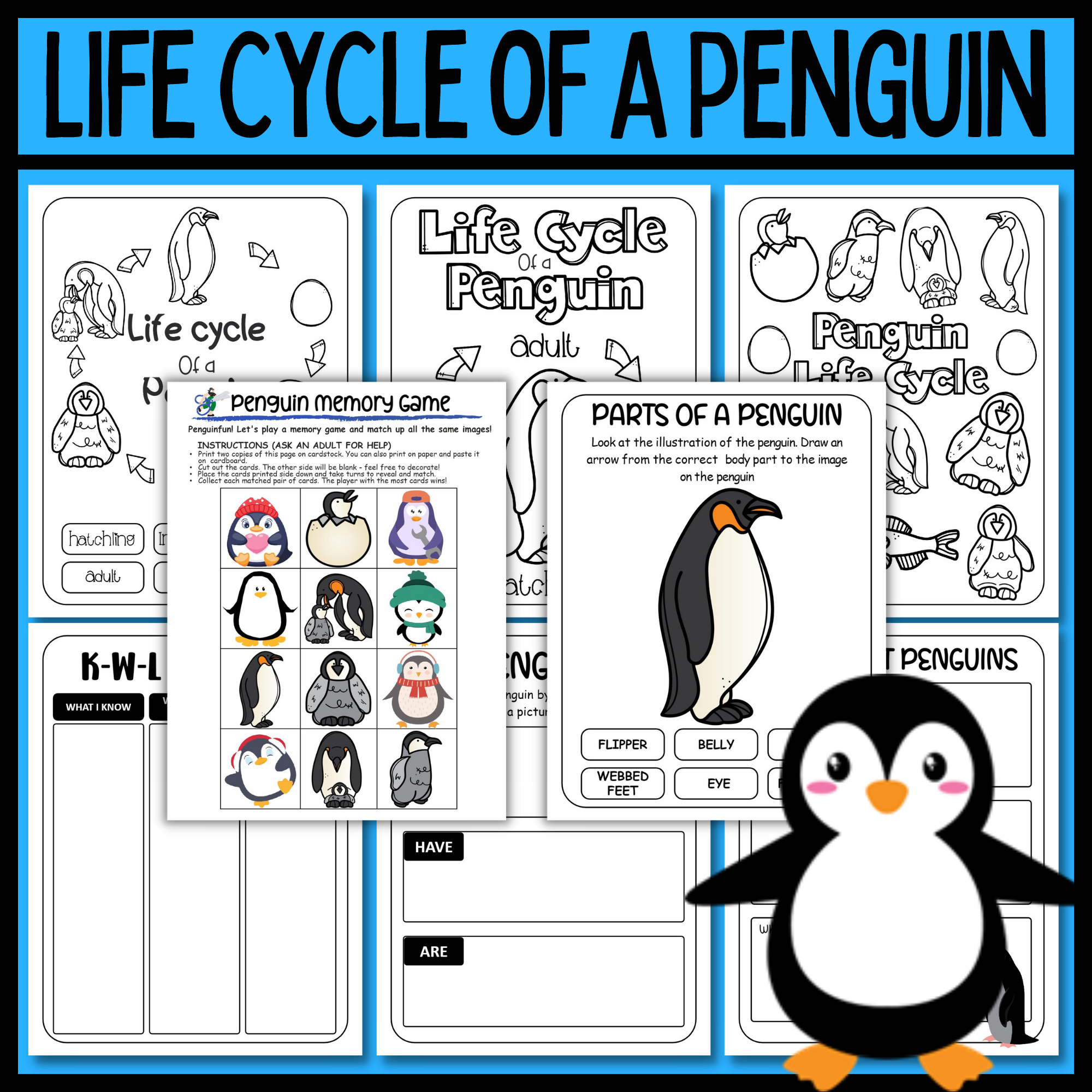 Life cycle of a penguin worksheets world penguin day made by teachers