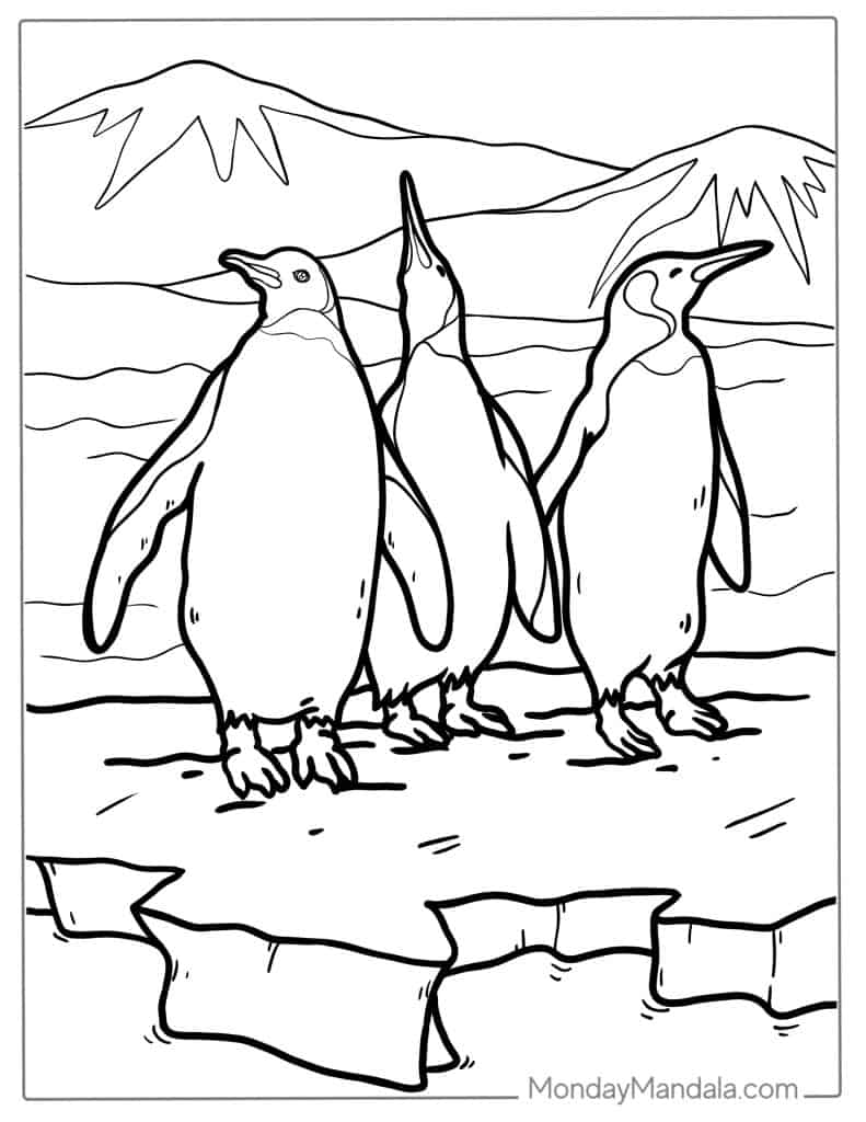 Penguin coloring pages free pdf printables