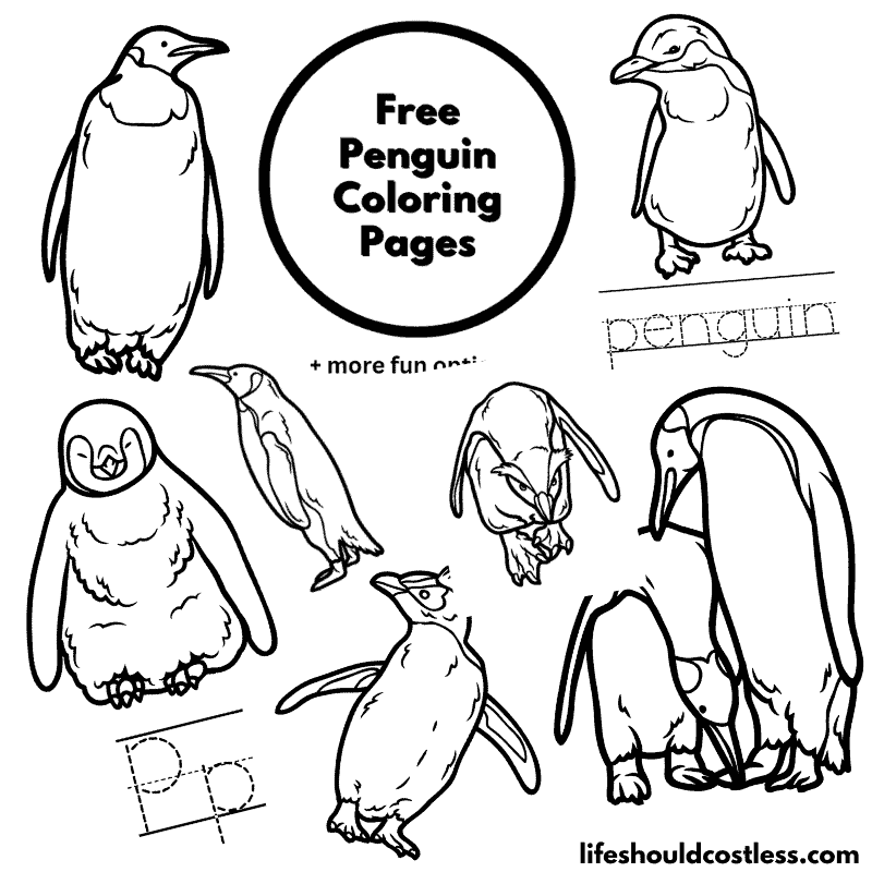 Penguin coloring pages free printable pdf templates
