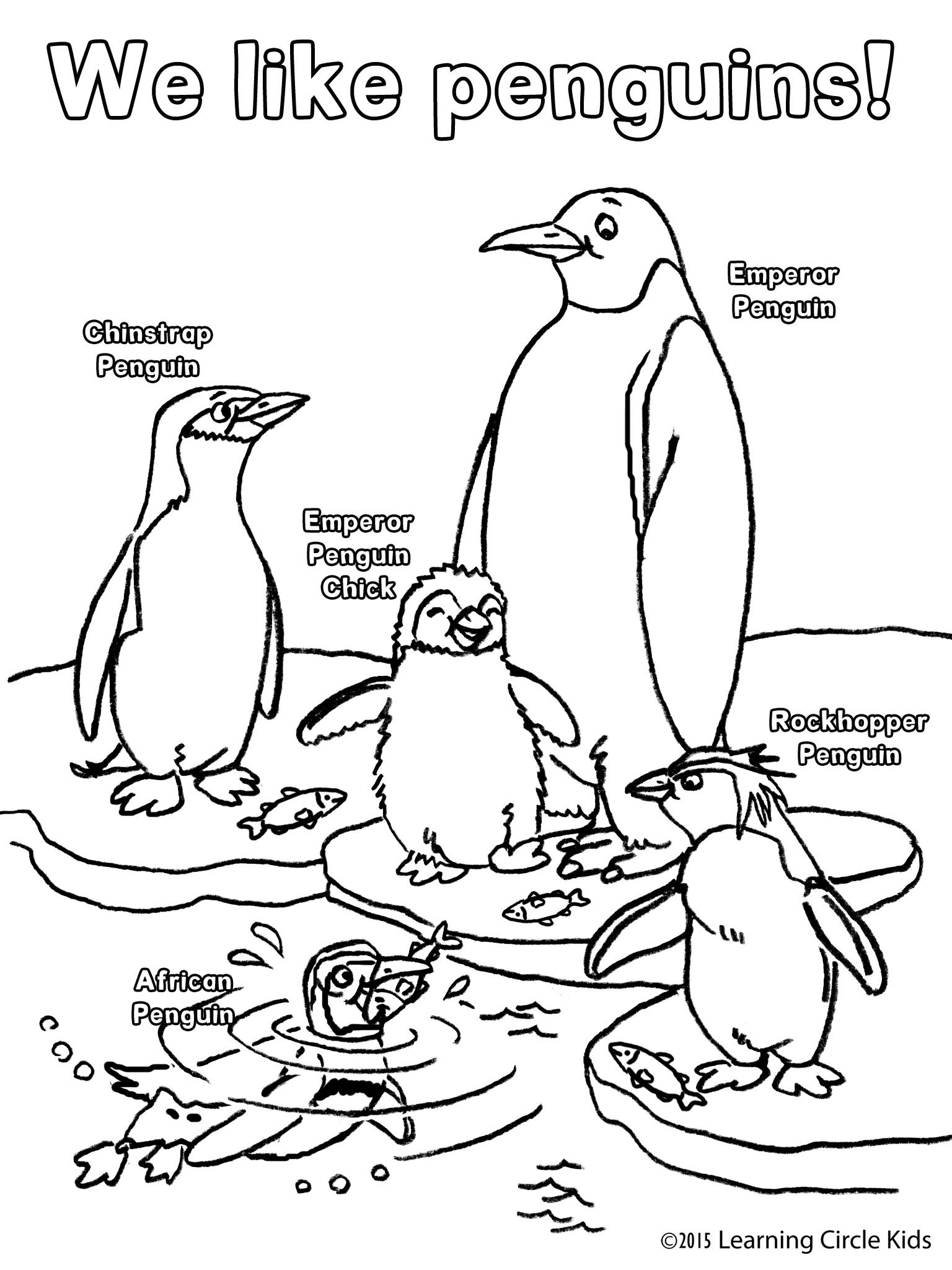 Free penguin coloring page from httpreaderbee penguins kindergarten penguin coloring pages penguin worksheets
