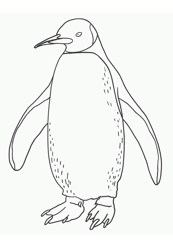 Coloring pages printable penguin coloring pages