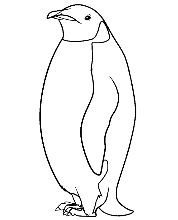 Penguin coloring page to print