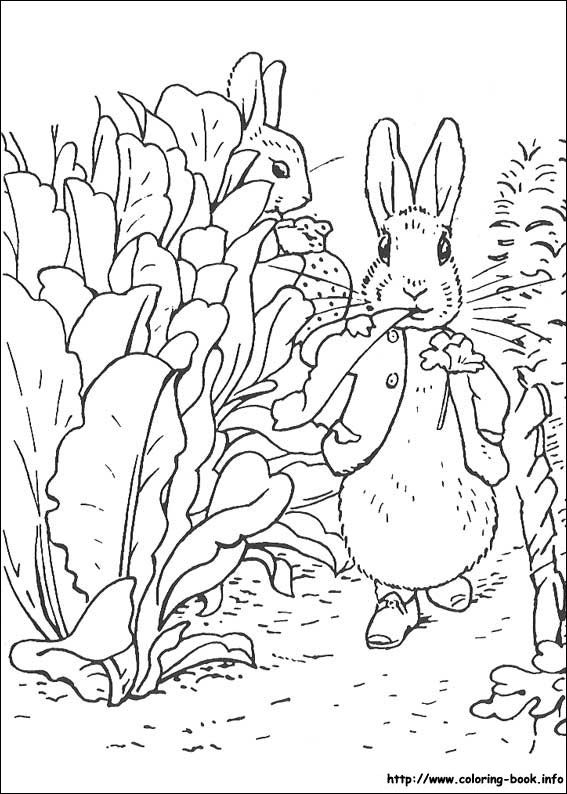 Peter rabbit coloring picture