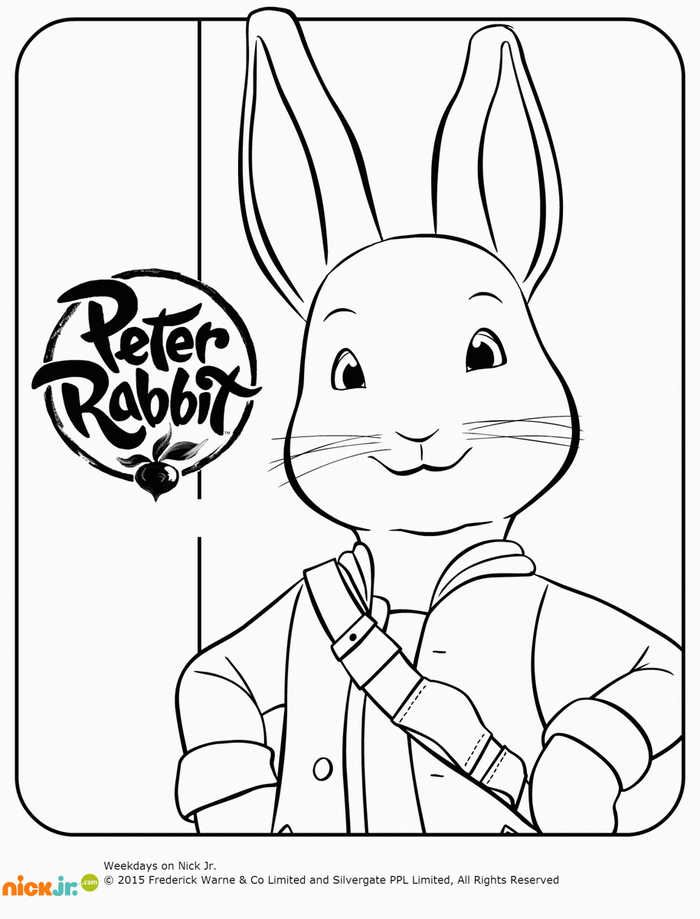 Peter rabbit coloring pages pdf for children