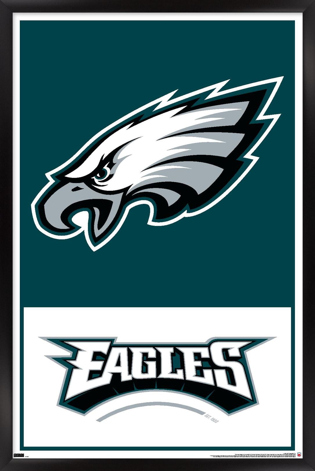 Nfl philadelphia eagles