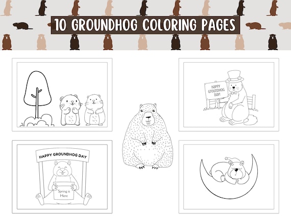 Groundhog day coloring pages for girls and boys cute animal coloring sheets printable color pages instant download