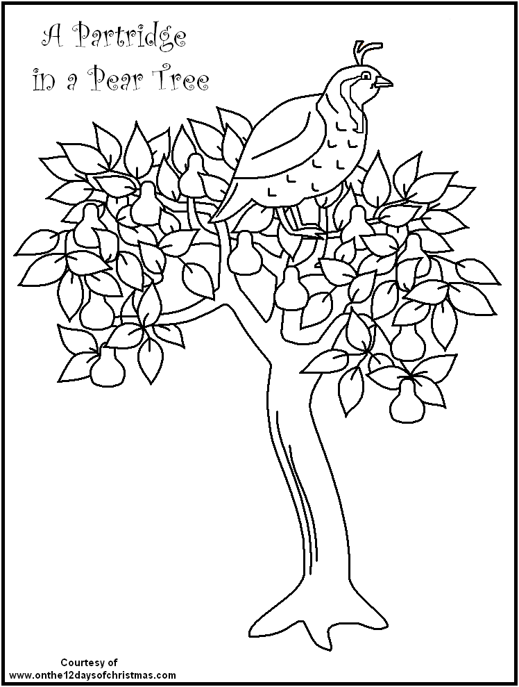 Christmas tree coloring page christmas coloring pages tree coloring page