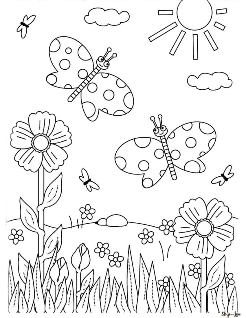 Flower coloring pages butterfly coloring page flower coloring pages spring coloring pages