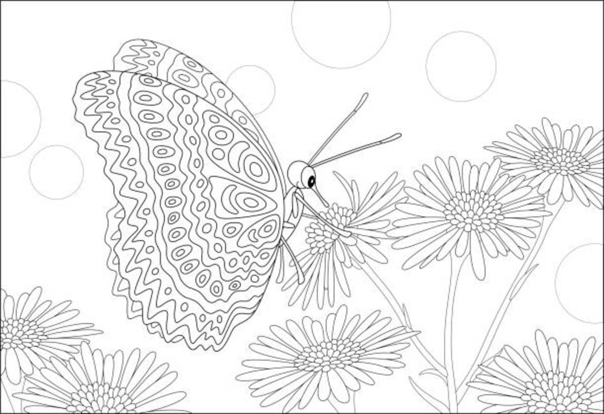 Butterfly coloring pages free printable sheets
