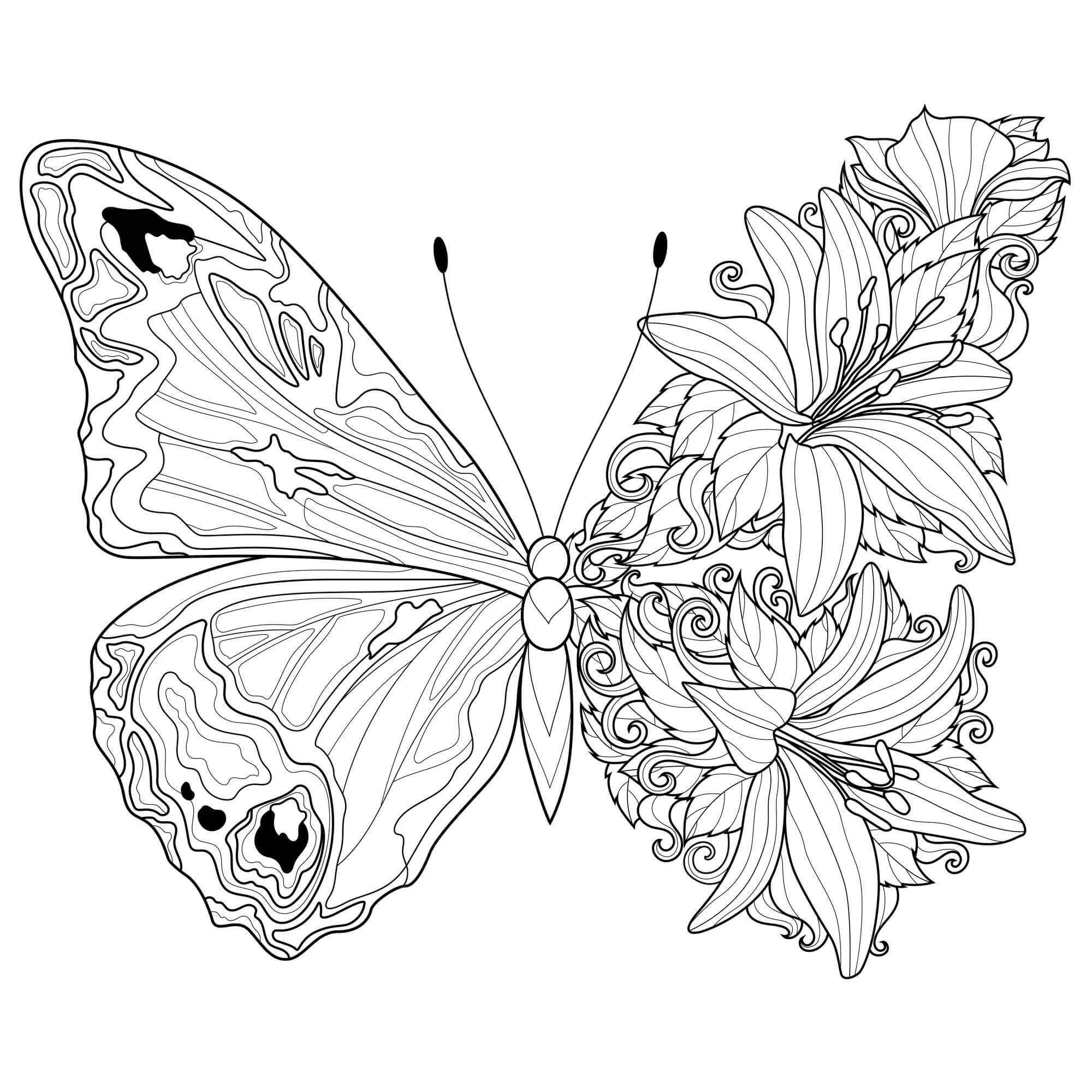 Butterfly with flowers coloring page
