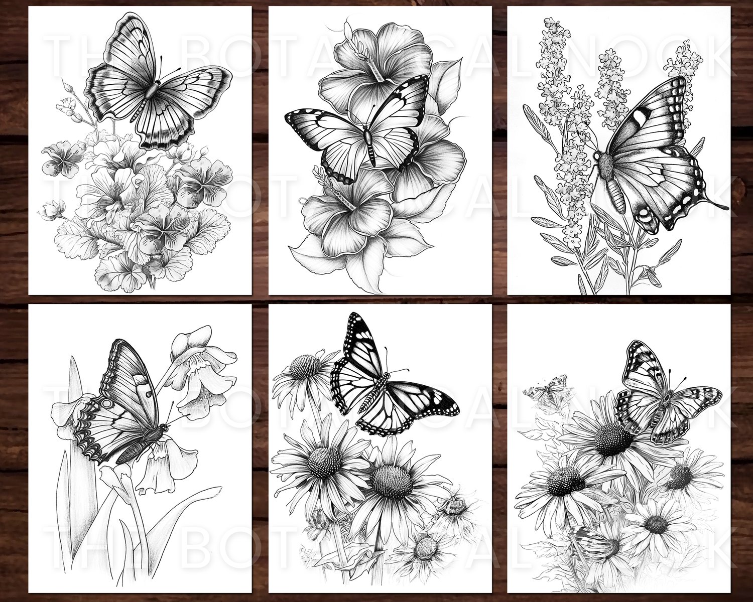 Butterflies coloring book adults kids instant download