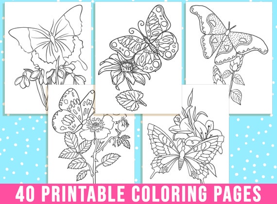Butterfly coloring pages printable butterfly and flower coloring sheets for kid adults coloring bookparty activity instant download