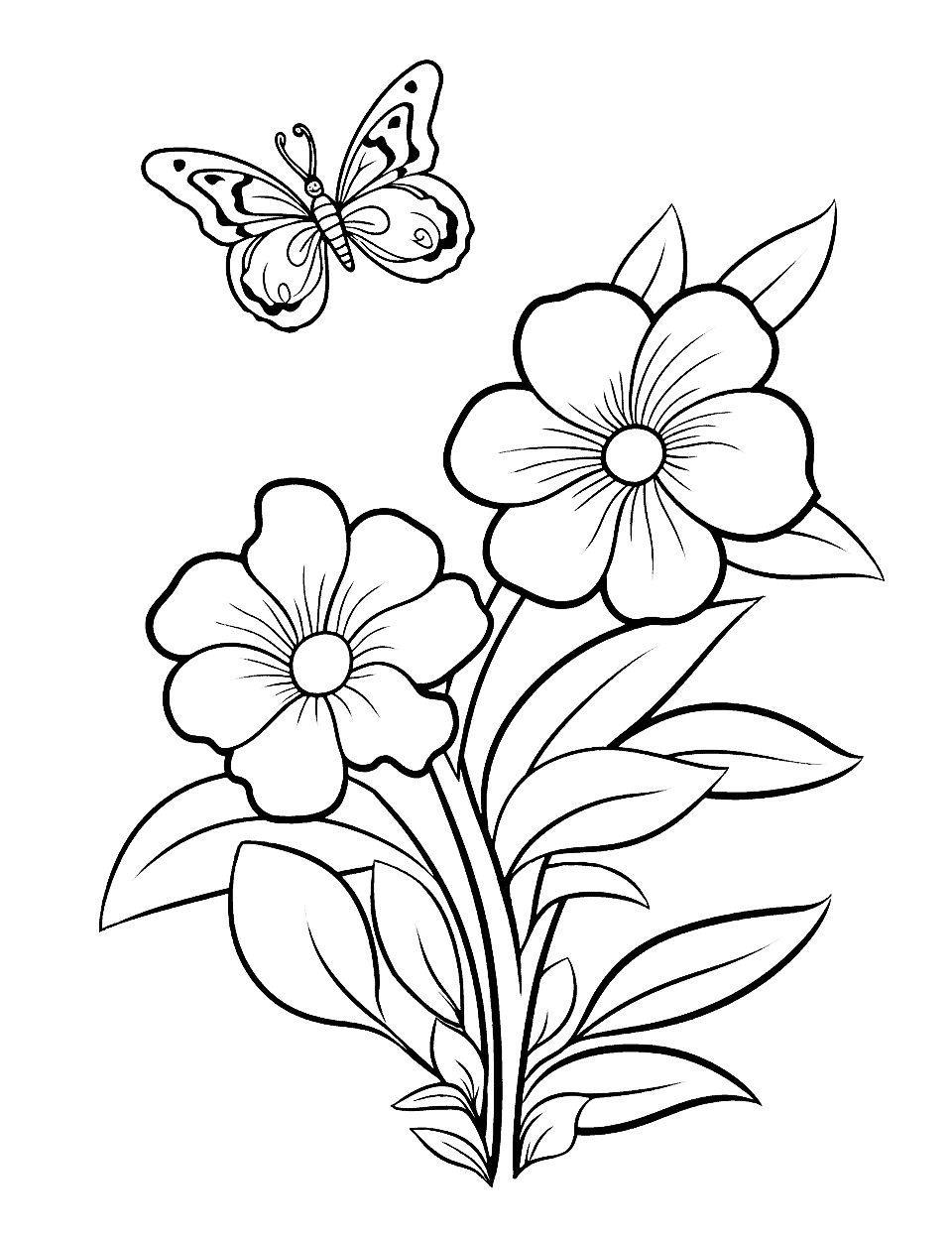 Flower coloring pages free printable sheets