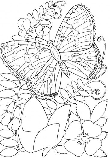 Butterfly among flowers coloring page free printable coloring pages butterfly coloring page free coloring pages flower coloring pages