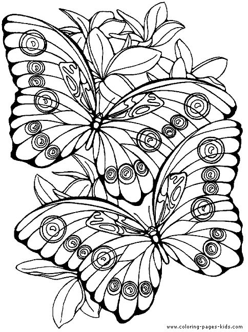 Two butterflies with flowers color page free printable coloring sheets for kids