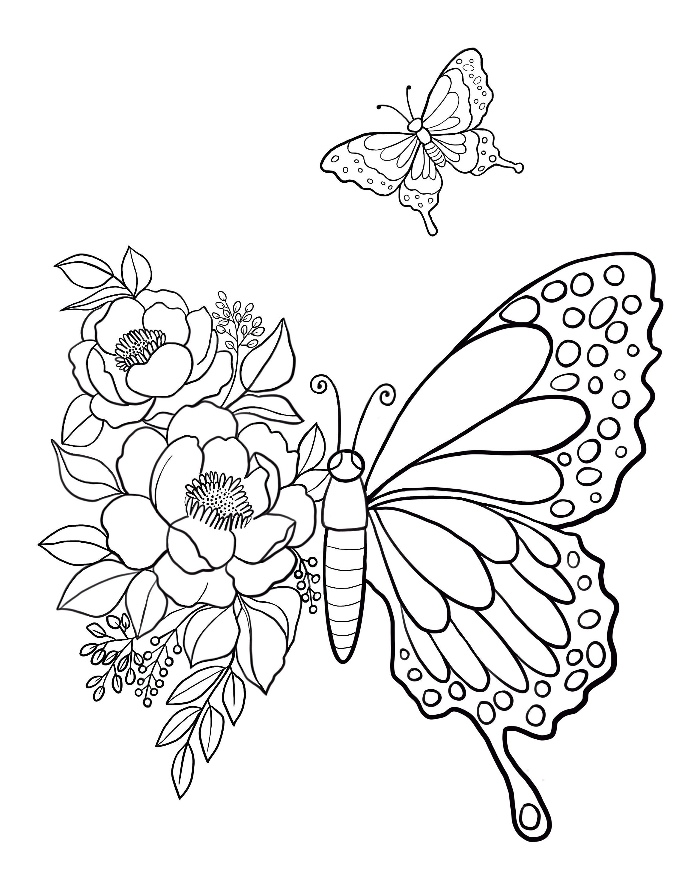Butterfly printable coloring sheet coloring pages kids coloring pages kids summer activity butterfly pictures