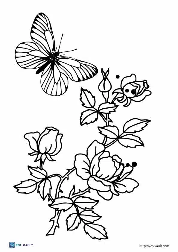 Cute butterfly coloring page printables