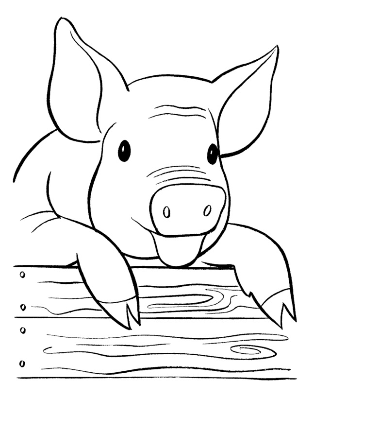 Free printable pig coloring pages for kids