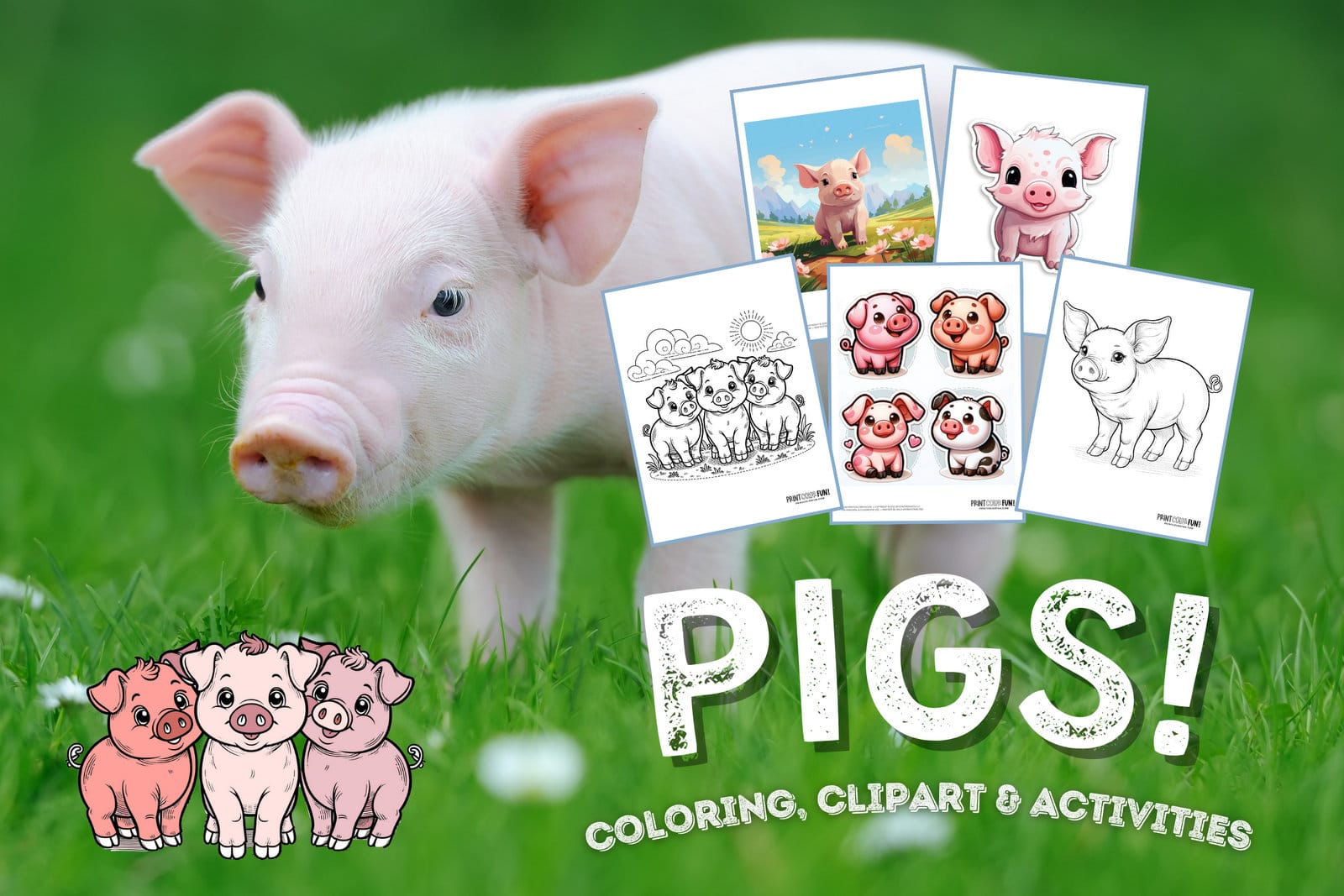 Pig clipart coloring pages go hog wild with our exclusive collection at