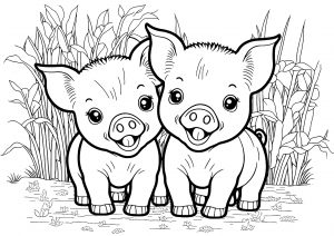 Pigs