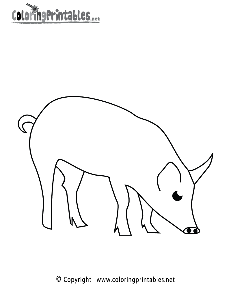 Pig coloring page