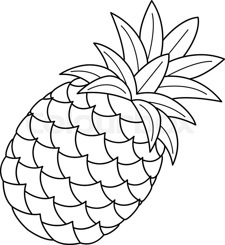 Pineapple fruit isolated coloring page for kids stock vector