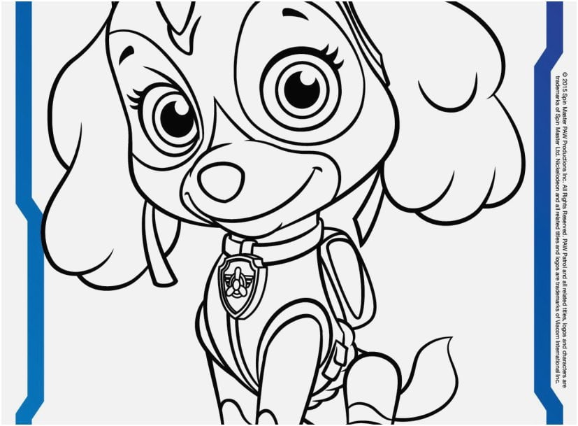 Cute paw patrol skye coloring pages free