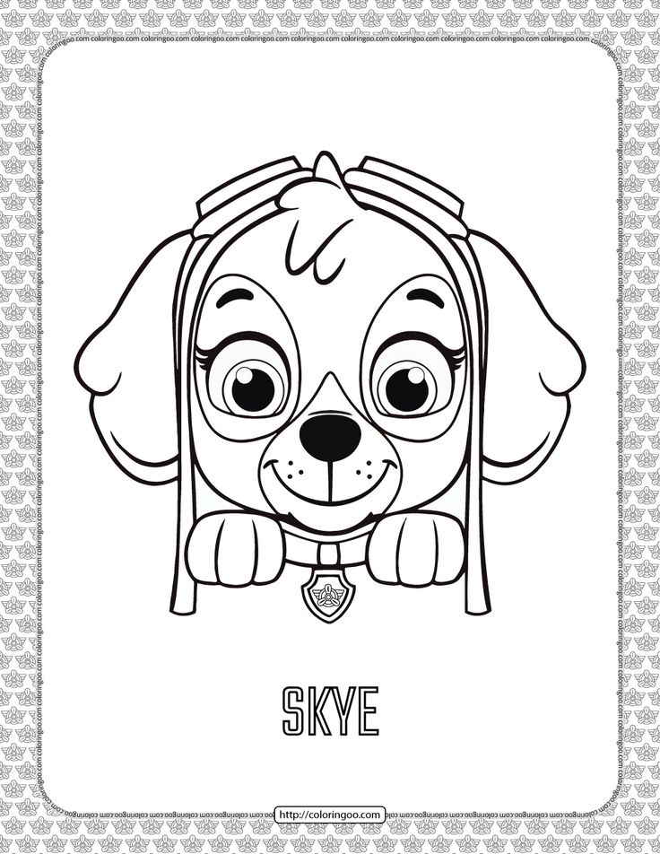 Paw patrol ctoon skye head coloring page paw patrol coloring skye paw patrol paw patrol coloring pages