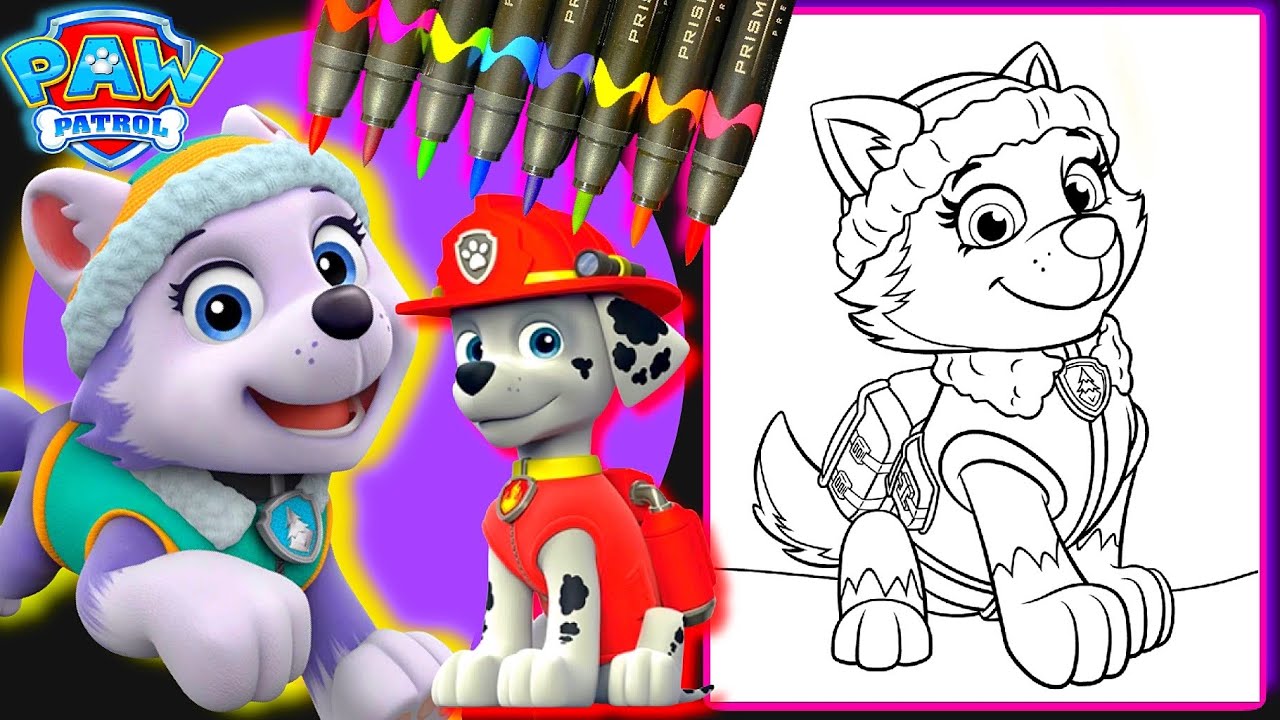 Coloring everest from paw patrol paw patrol coloring book