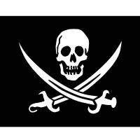 Pirate flag