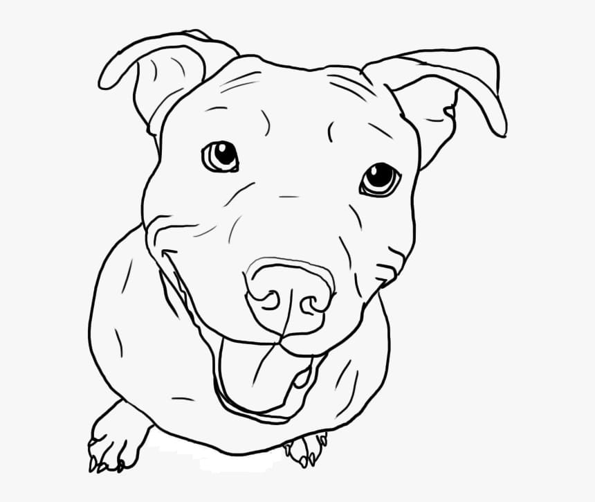 Happy pitbull dog coloring page