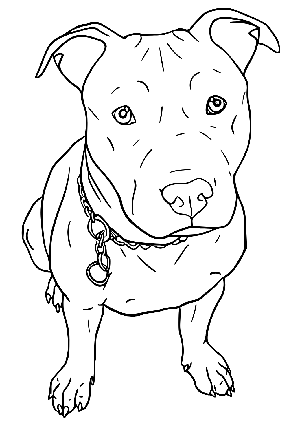 Free printable pitbull cute coloring page for adults and kids