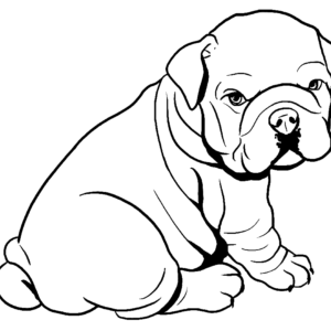 Pitbull coloring pages printable for free download