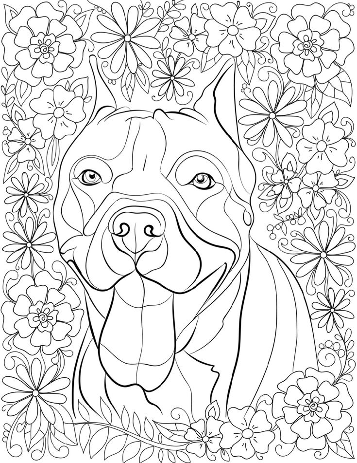 Pitbull coloring pages for adults dog coloring page adult coloring pages owl coloring pages